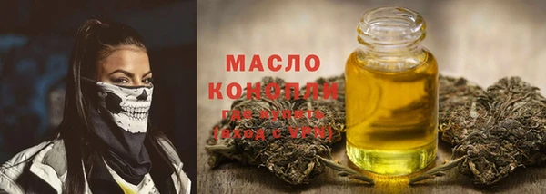 амф Верхний Тагил