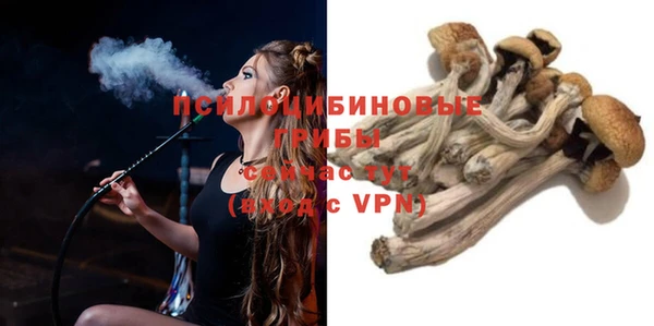 мяу мяу мука Верея