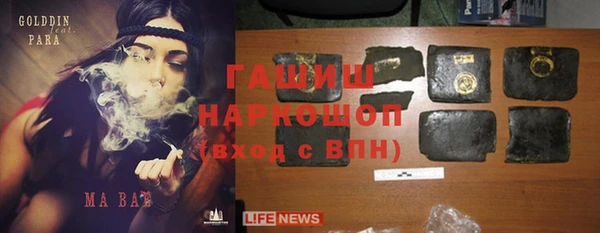 амф Верхний Тагил