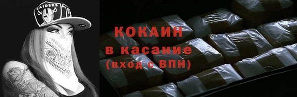 амф Верхний Тагил