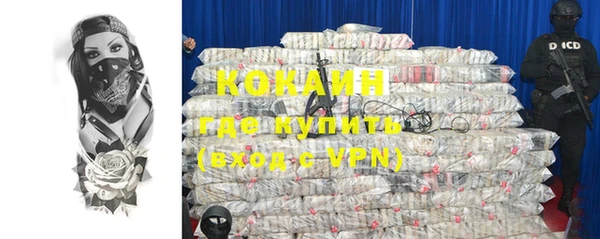 амф Верхний Тагил