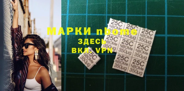 амф Верхний Тагил