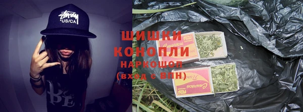 амф Верхний Тагил